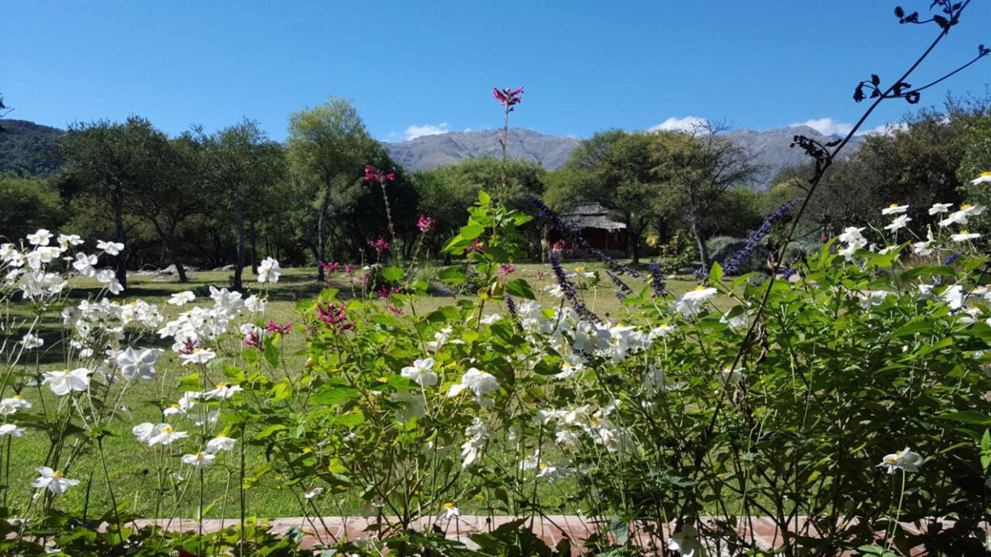 Las Dalias Villa Las Rosas Eksteriør billede